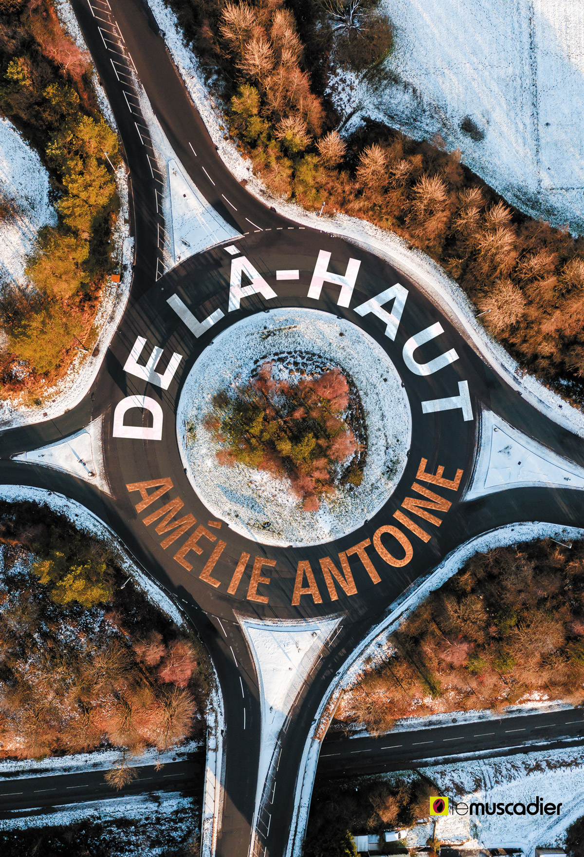 Couverture du roman "De là-haut" d'Amélie Antoine - EAN 9782383020639